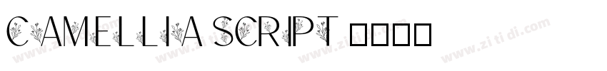 Camellia Script 字体转换